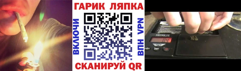 Купить где  Андреаполь  ГАШИШ индика сатива 