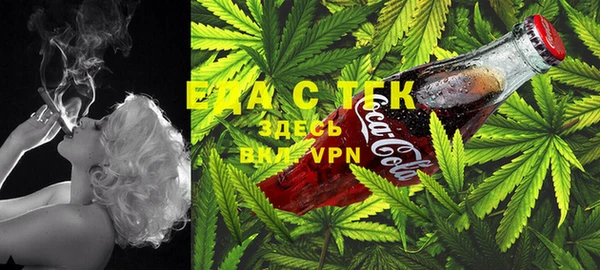 2c-b Козельск