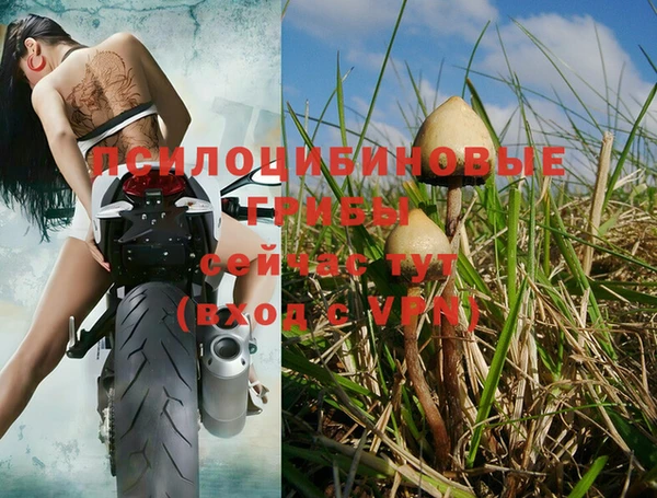 бошки Киренск