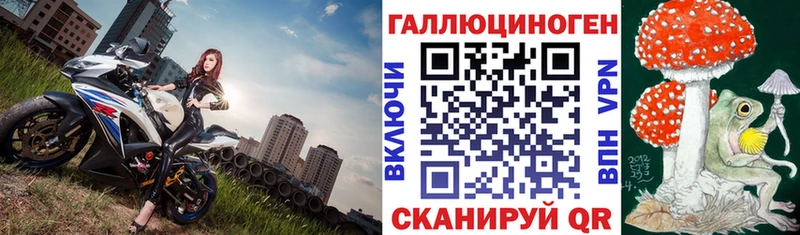 Купить где  Андреаполь  Галлюциногенные грибы Psilocybine cubensis 